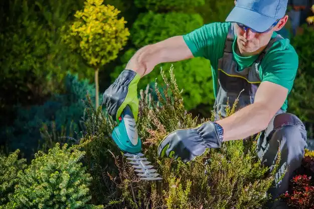 landscaping services Briarwood